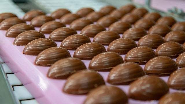 0420-sunmo-eggs.jpg 