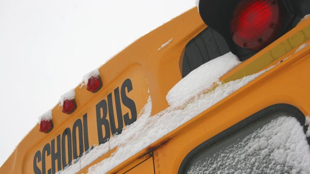 Snow day. 